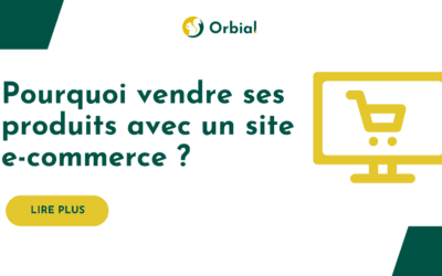 Pourquoi vendre ses produits avec un site e-commerce ?