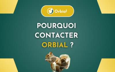 Pourquoi contacter une agence web ?